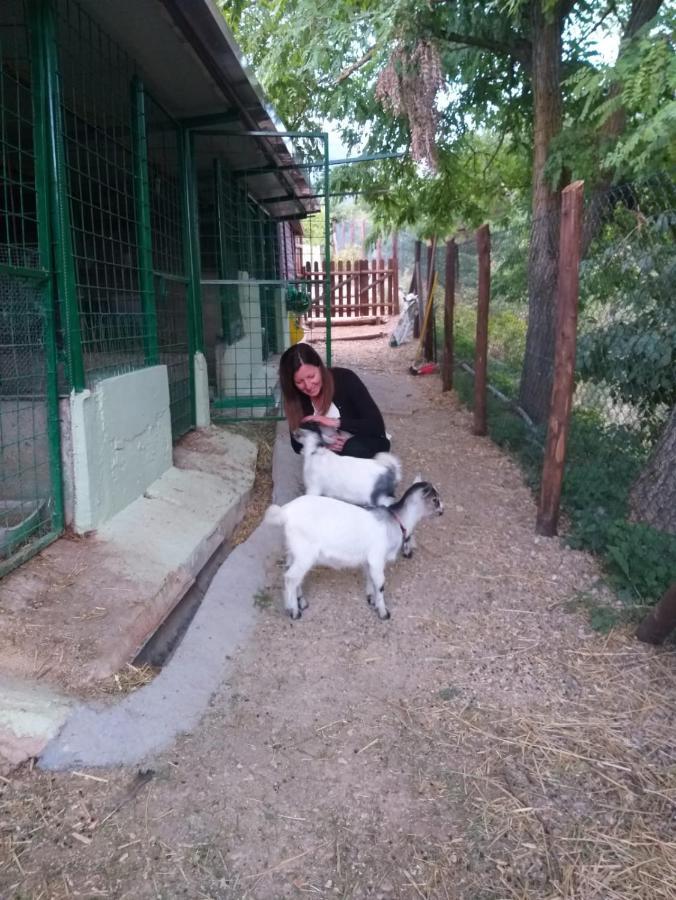 B&B Fonte Vena Norcia Luaran gambar